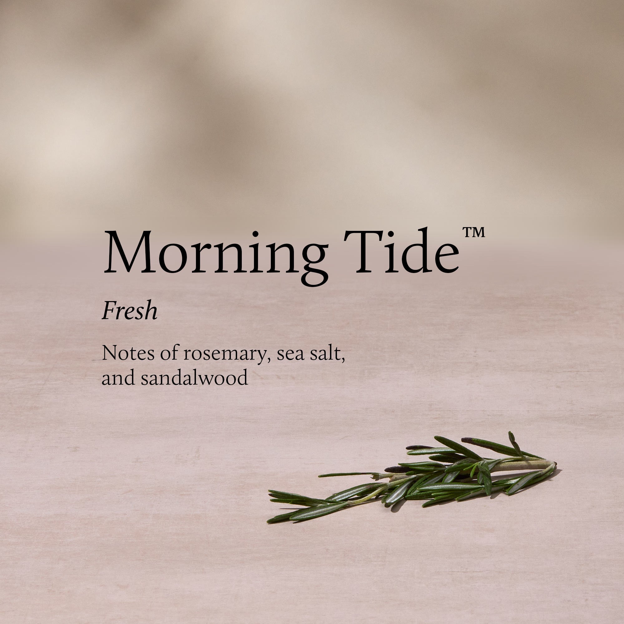 Fragrance-Stack-morning-tide.jpg
