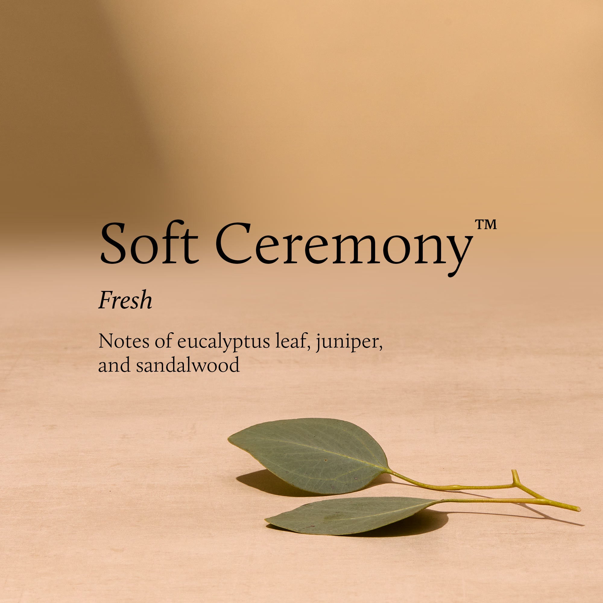Fragrance-Stack-soft-ceremony.jpg