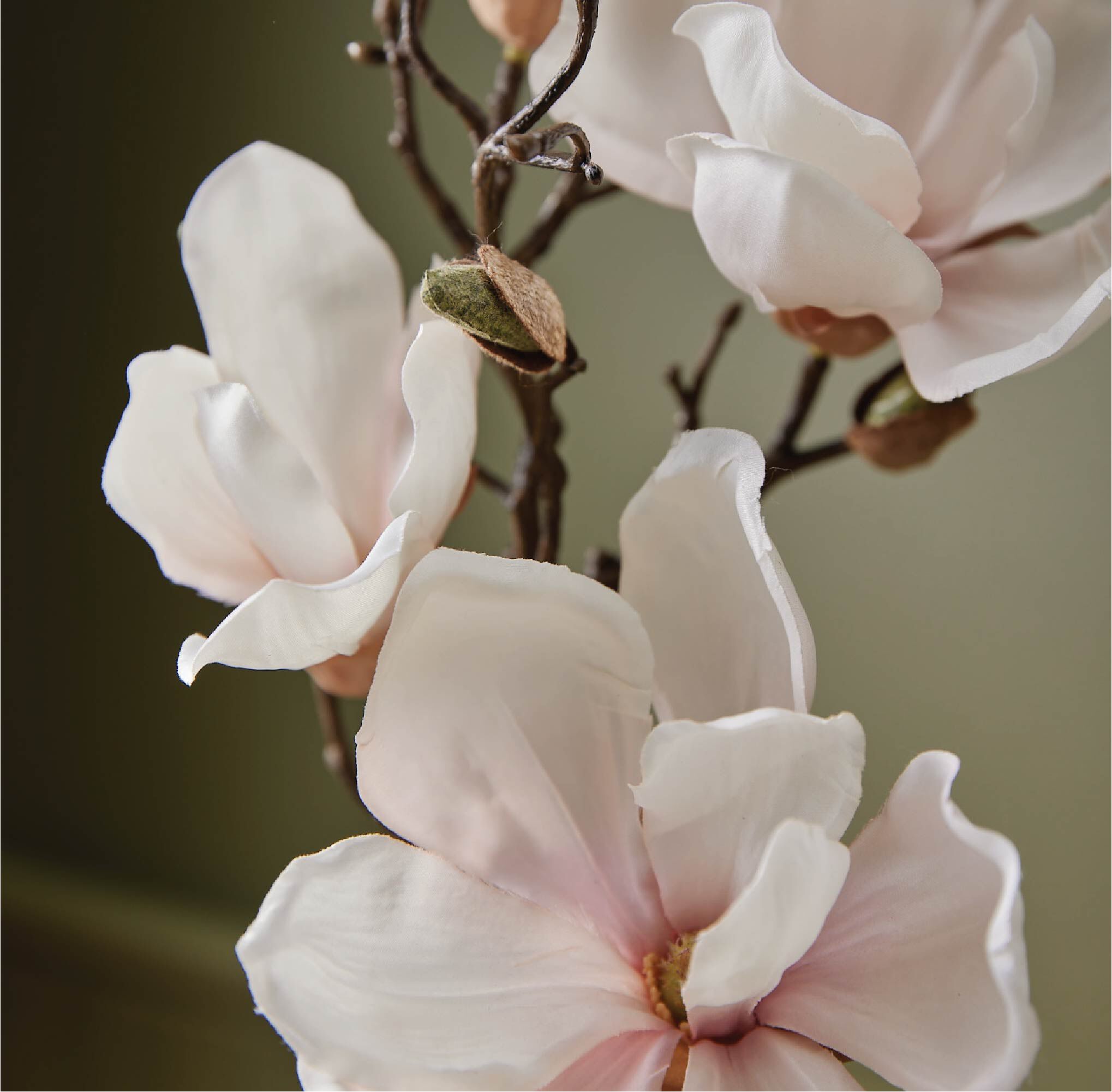 Thymes-MGw-Diff_20Oil_20Refill-Web_20Alt_20Image-2.jpg