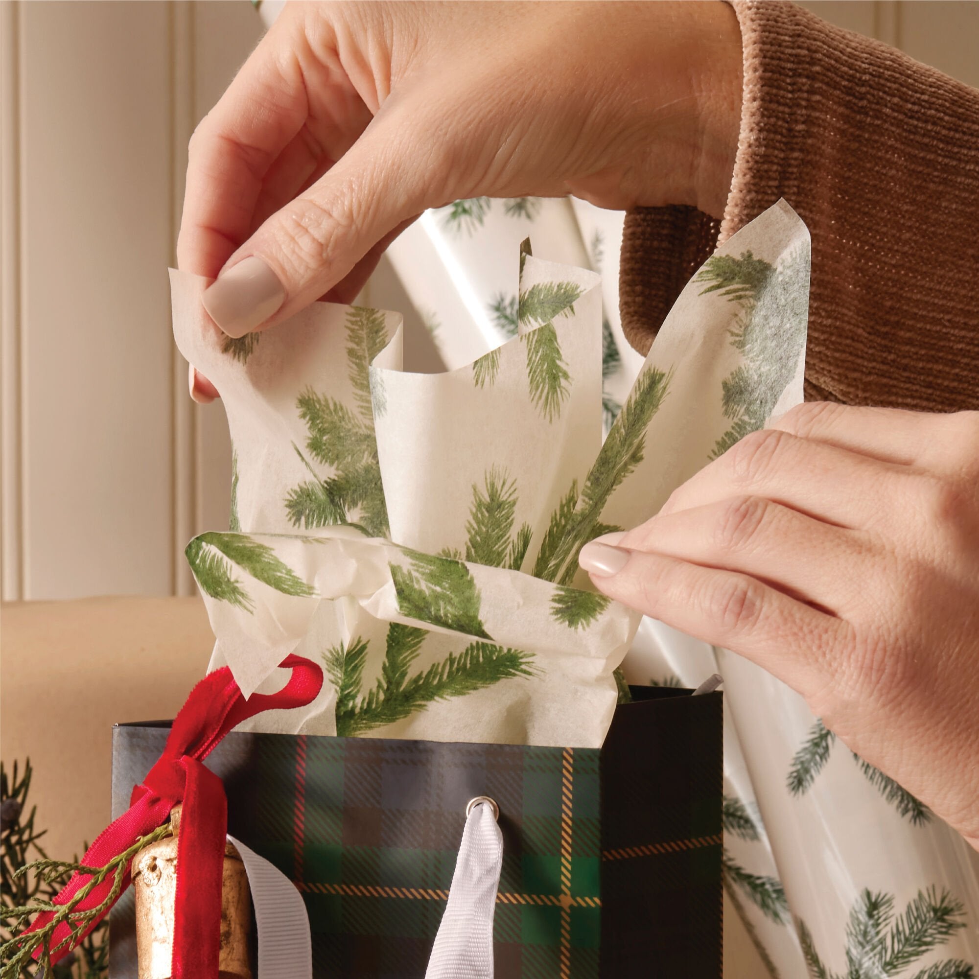 frasier-fir-tissue-paper-3.jpg