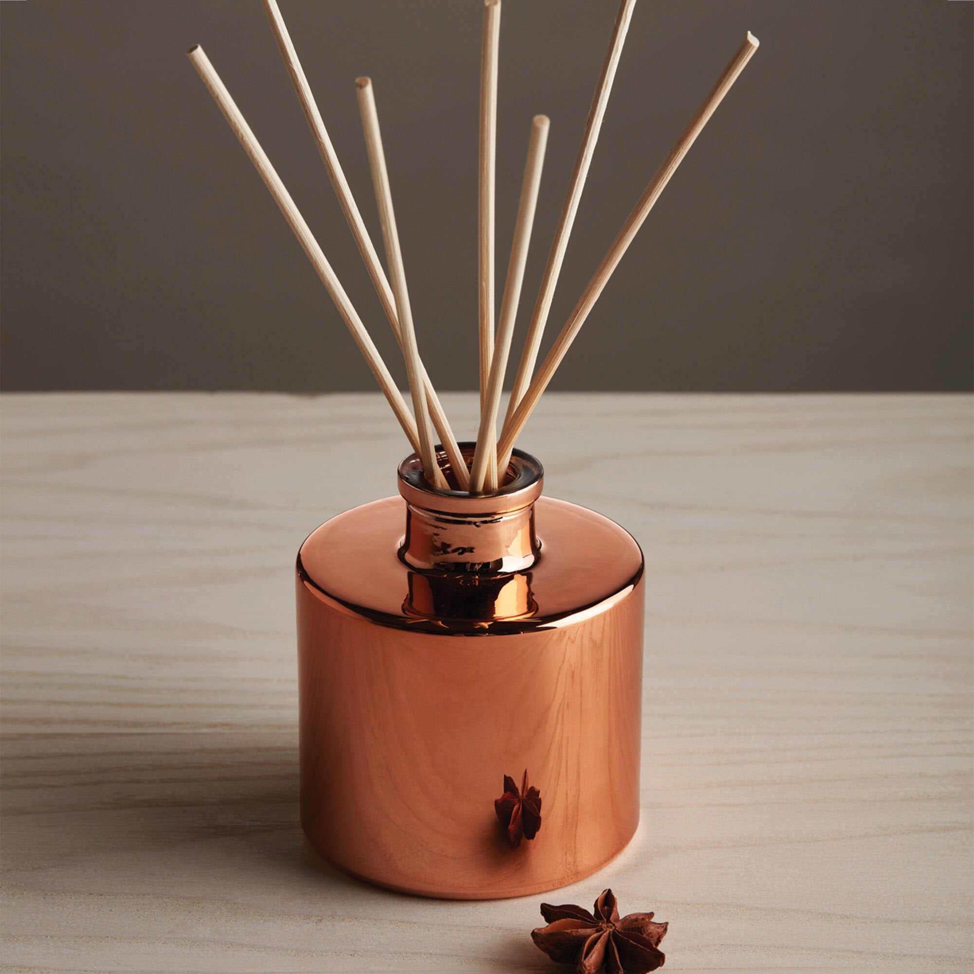 simmered-cider-petite-diffuser-1.jpg